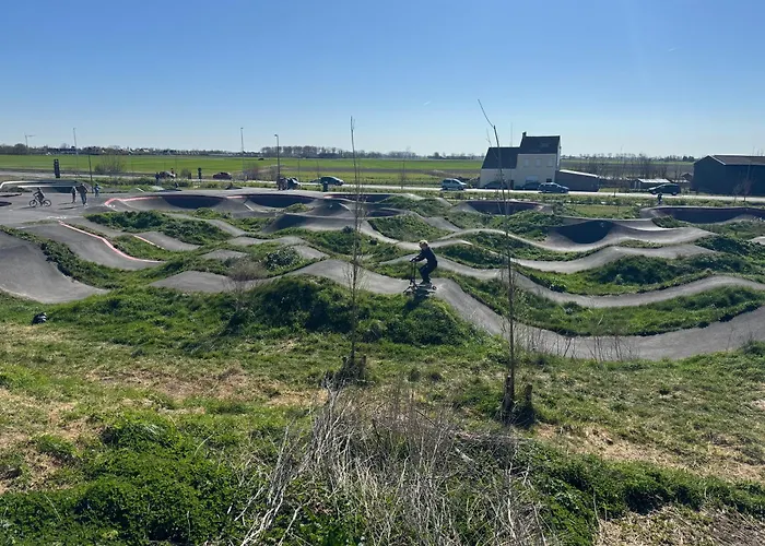 Seaview234 아파트 미들케르케